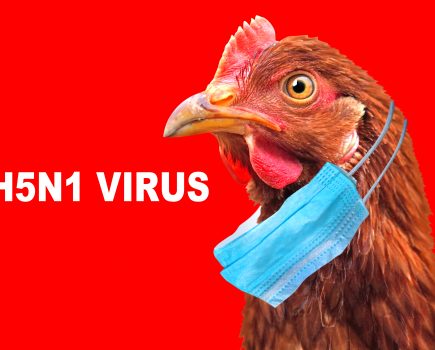 Bird flu confirmed in West Sussex