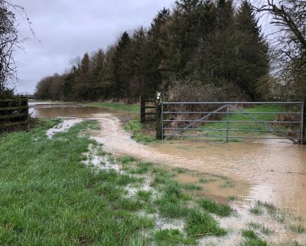 Government opens fund to support farmers affected by flooding