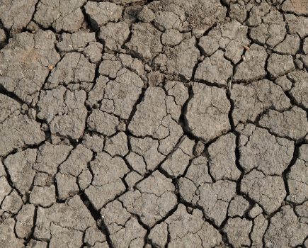 Defra confirms dry weather support for farmers