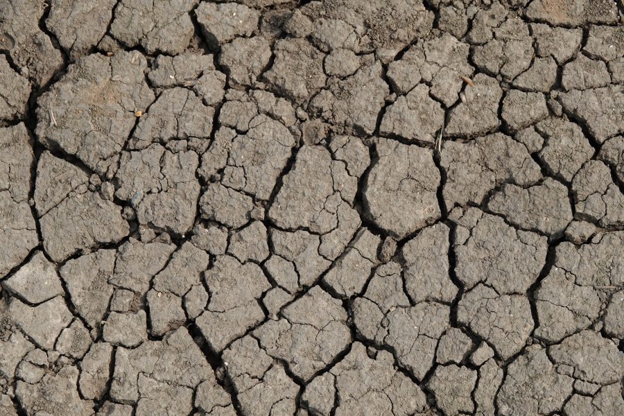Defra confirms dry weather support for farmers