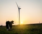 First farmers receive Sustainable Farming Incentive early payment