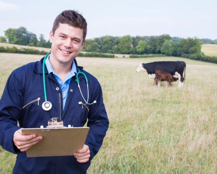 Royal College of Veterinary Surgeons calls on animal-based workplaces to help support student veterinary surgeons