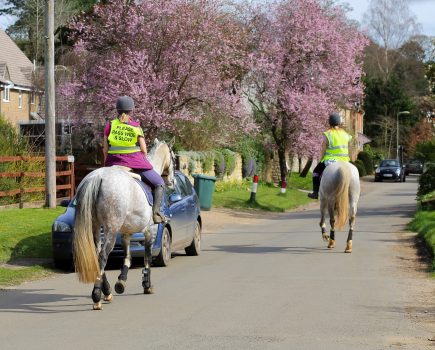 The British Horse Society advises dog walkers on how to pass horses safely, after incident figures rise by 111%