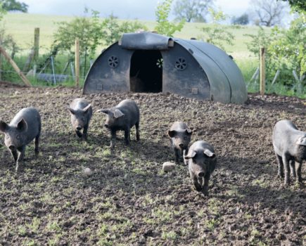 What are the benefits of joining a smallholder club?