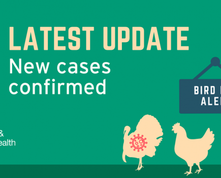 Avian influenza: six more cases confirmed