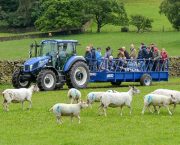 NSA events offer the perfect day out for sheep farmers this spring