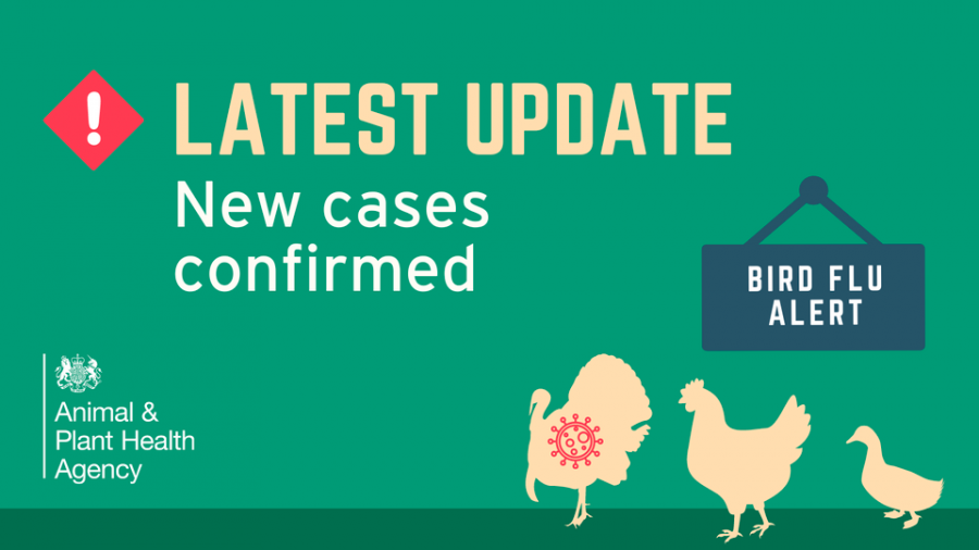 Bird flu cases confirmed at Norfolk premises