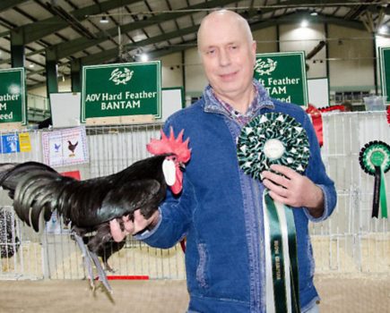 Poultry shows suspended