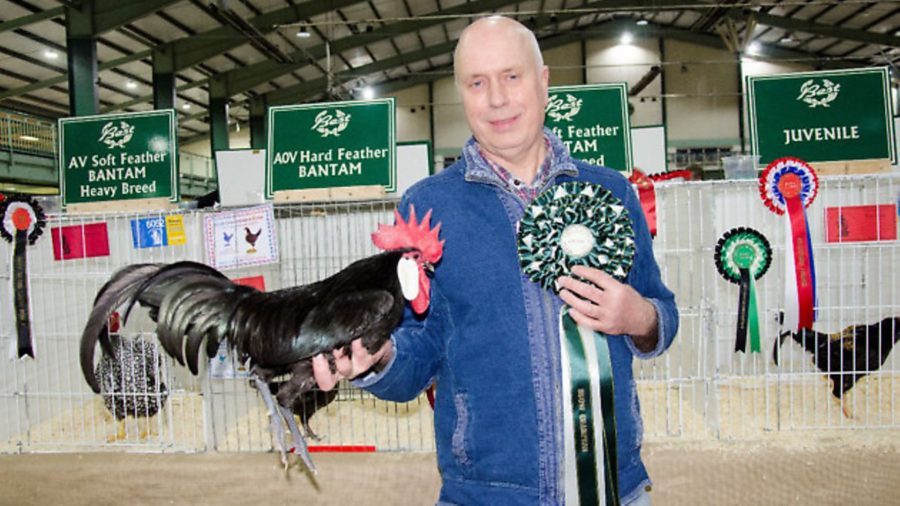 Poultry shows suspended