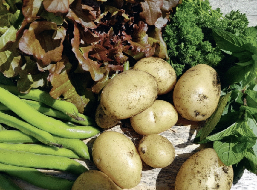 How to get edible results from your garden
