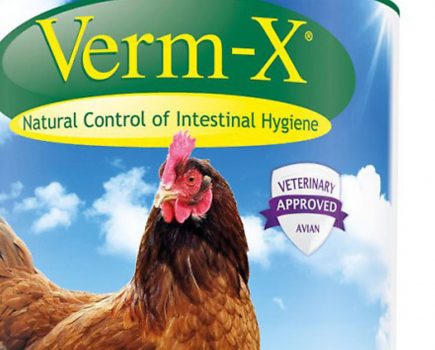 Win Verm-X pellets