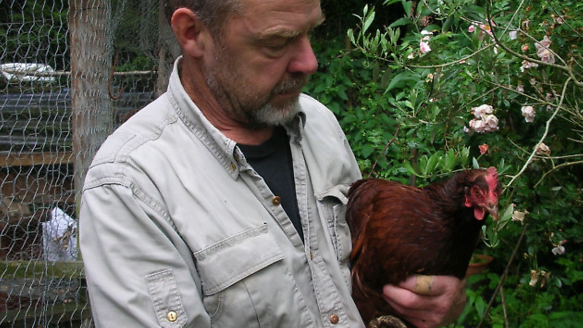 Plants & Poultry - Country Smallholding